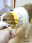 SH3B0307.jpg