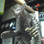 DSCF4143.jpg
