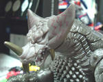 DSCF4149.jpg