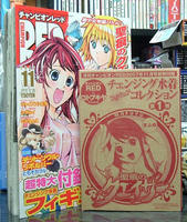 DSCF4211.jpg