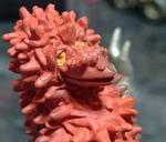 DSCF4255.jpg