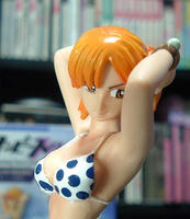 DSCF4372.jpg