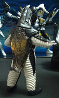DSCF0239.jpg