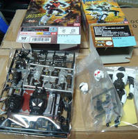 DSCF0248.jpg