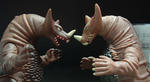 DSCF03581.jpg