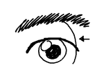 fimg_1213961115.png