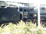 DSCF1227.jpg