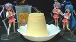 DSCF1311.jpg