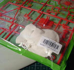 DSCF1721.jpg
