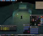 mabinogi_2008_11_01_002.jpg
