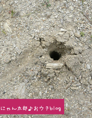 地盤調査の穴？