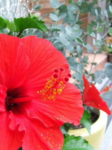 DSCF1281.JPG