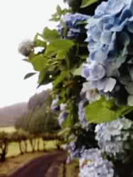 P1000047.jpg