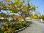 nabananosato