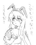 koromo_01.jpg