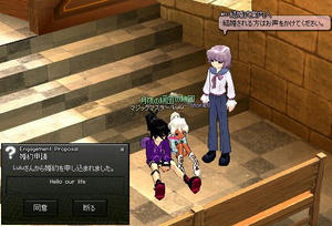 mabinogi_2010_08_29_004.JPG