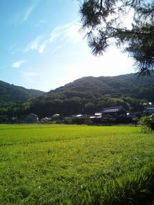 岡山　田園風景