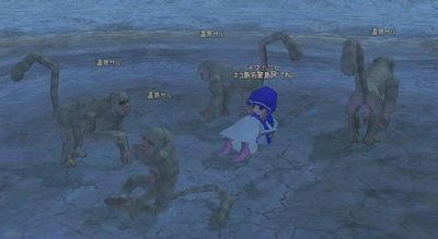 mabinogi_2010_03_16_035.jpg