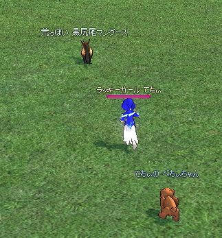 mabinogi_2010_06_09_004.jpg