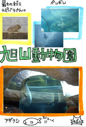 img224.jpg