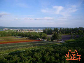 CIMG0565.jpg