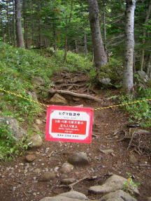 CIMG0704.jpg