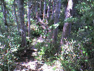 07-08-13_16-361.jpg
