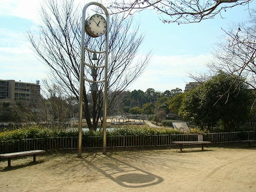 DSC00190.jpg