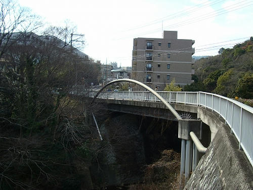DSC00230.jpg