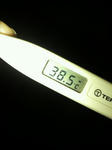 100223.JPG