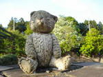 DSC02071_bear.jpg