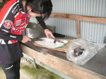 PICT0111.JPG