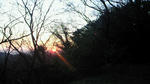 201001010719000.jpg