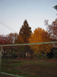 DSCN0055.JPG