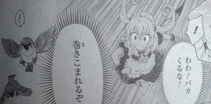 ナナ　小鳥