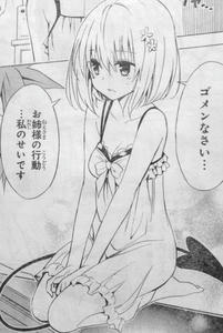 モモの告白