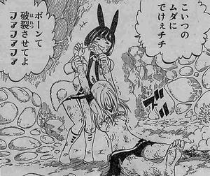 Fairy Tail 第384話 星霊王召還 力の代償 永遠の別れ さらば宝瓶宮 アクエリアス 星々の一撃 トルトルの漫画発表会