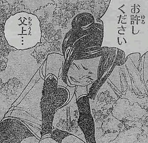 Fairy Tail 第3話 ミネルバの涙 双竜到着 エルザ Vs ミネルバ トルトルの漫画発表会