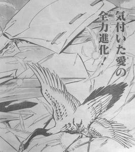 ウルティモフロンタルティルドーン
