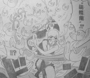 ニコロビン 千紫万紅(ミル・フルール) 胡蝶蘭