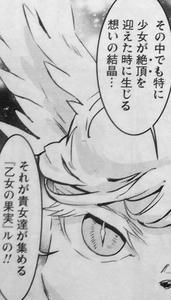 赤と蒼のエーレンベルグ 乙女の果実