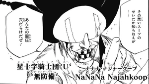 ナナナ・ナジャークープ