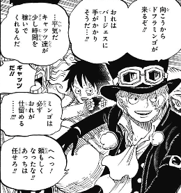 One Piece 第787話 ドレスローザの延命措置 4分前 トルトルの漫画発表会