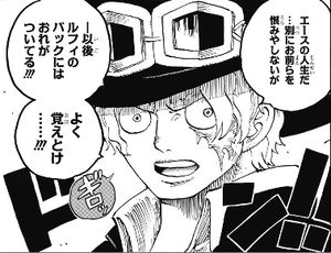 One Piece 第787話 ドレスローザの延命措置 4分前 トルトルの漫画発表会