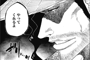 京楽総隊長