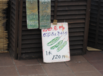IMG_0007.png