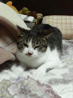 リオン