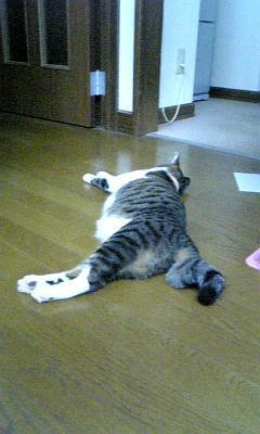 リオン