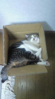 何見てんのよ！
