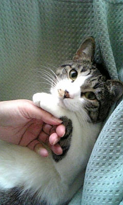 うふん
